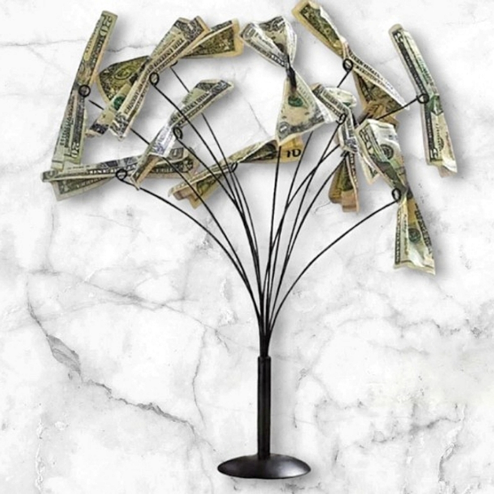 Money Tree - Picture 7 of 7